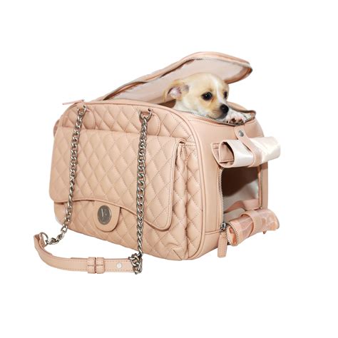 luxury designer pet carrier.